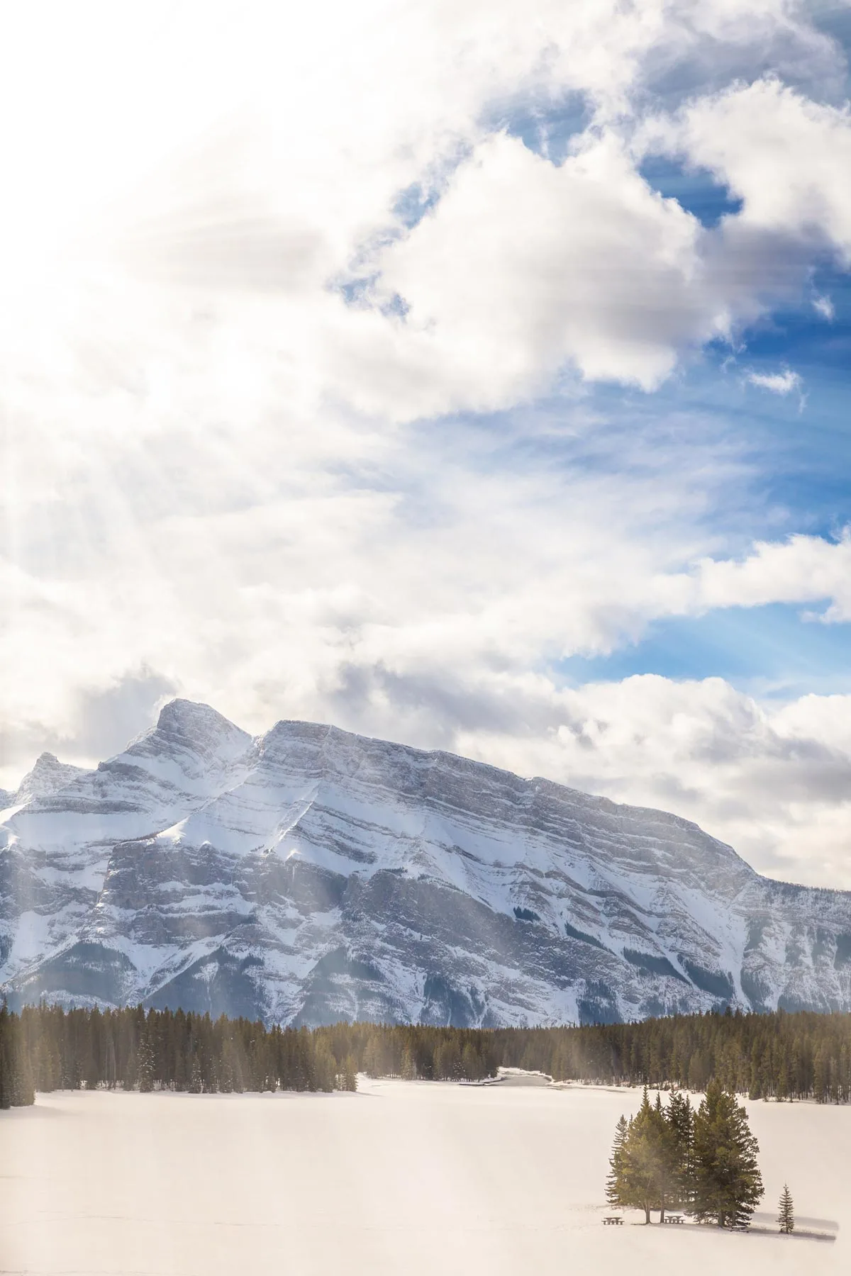 what to do in alberta in winter 