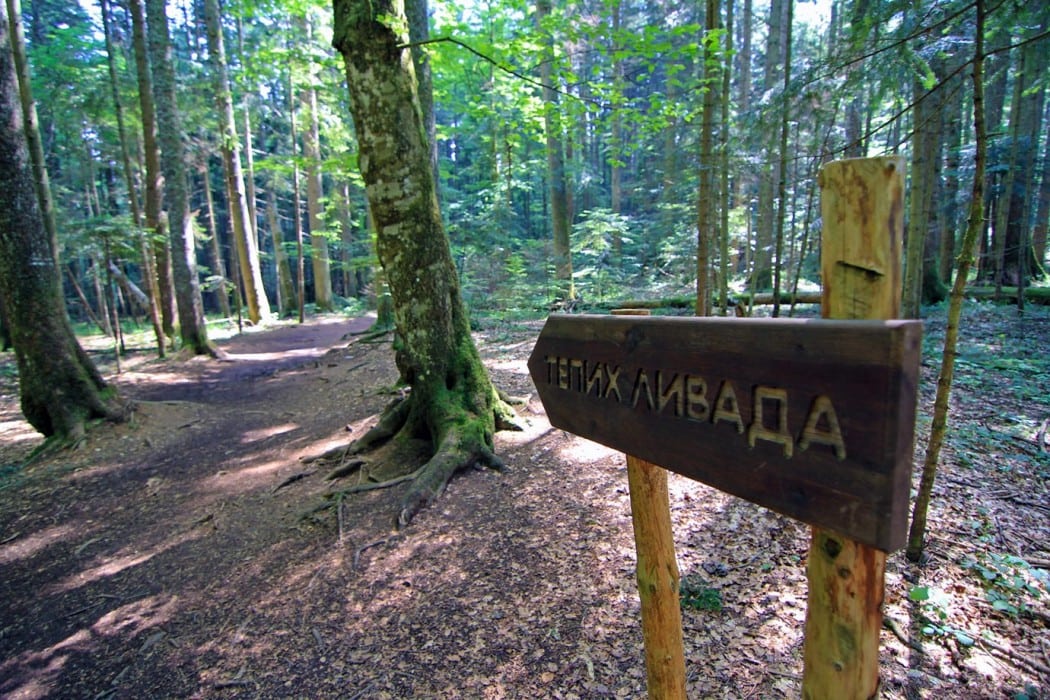 The Best Places to go Hiking in Bajina Basta, Serbia (2024 Guide)