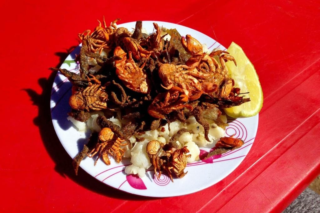 local dishes in bolivia
