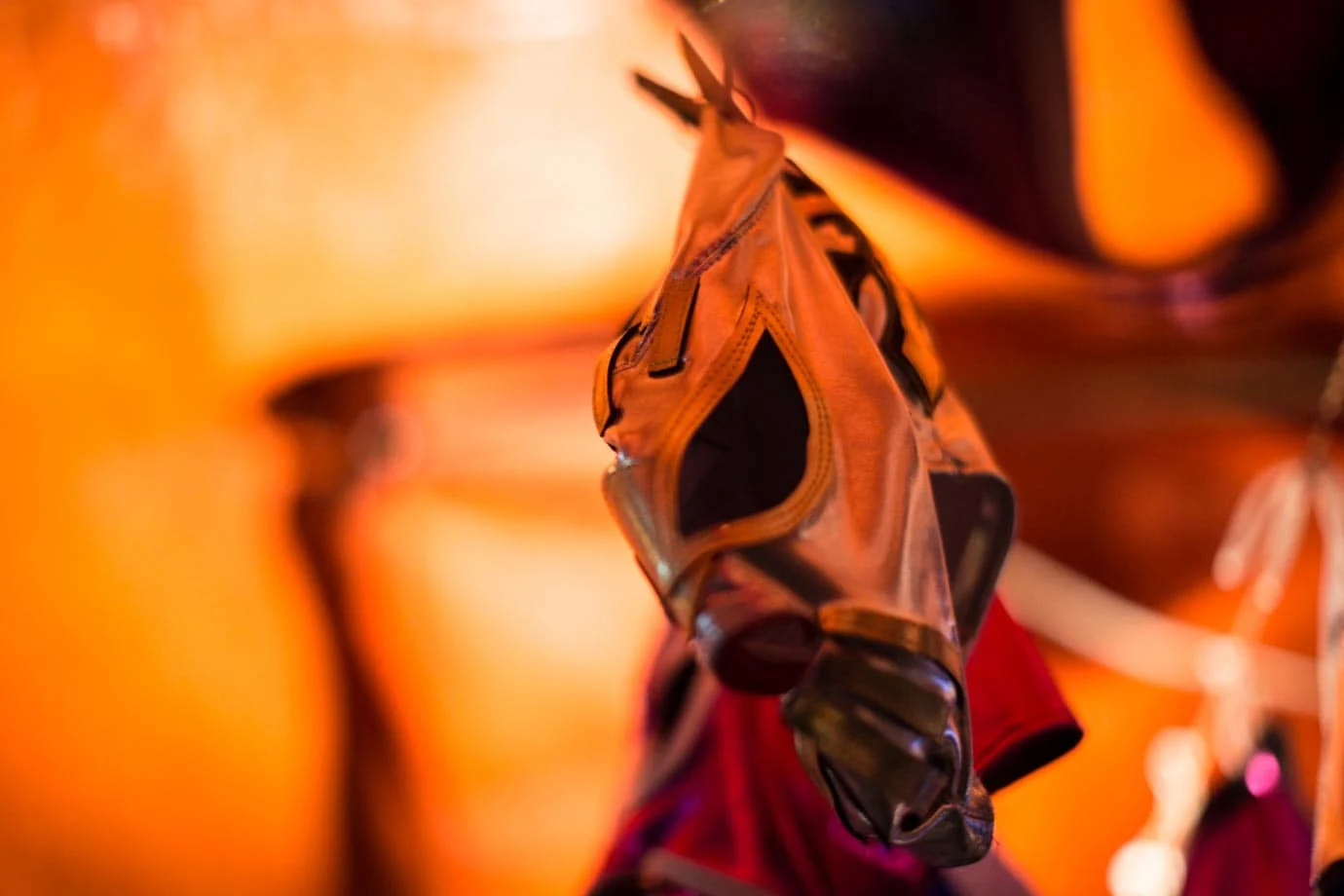 Lucha Libre was like nothing I've seen before, and it was definitely one of my highlights of Mexico City