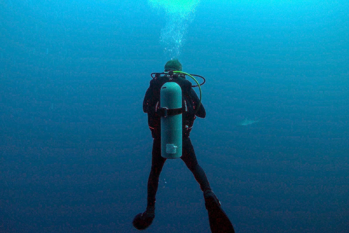Diving enthusiasts flock to the Blue Hole