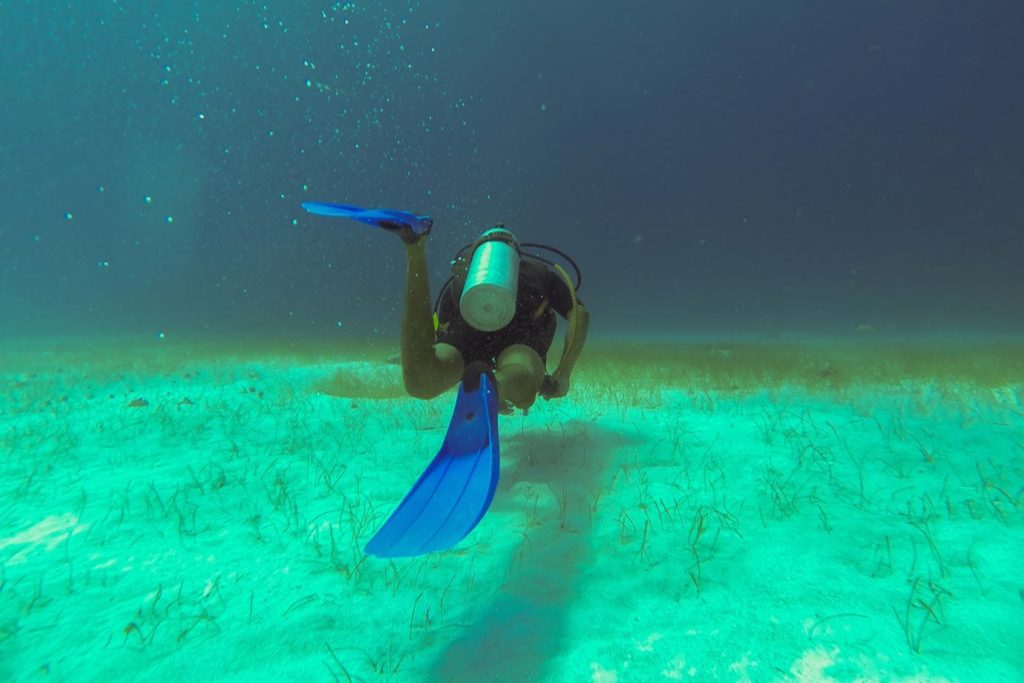 Diving the Blue Hole