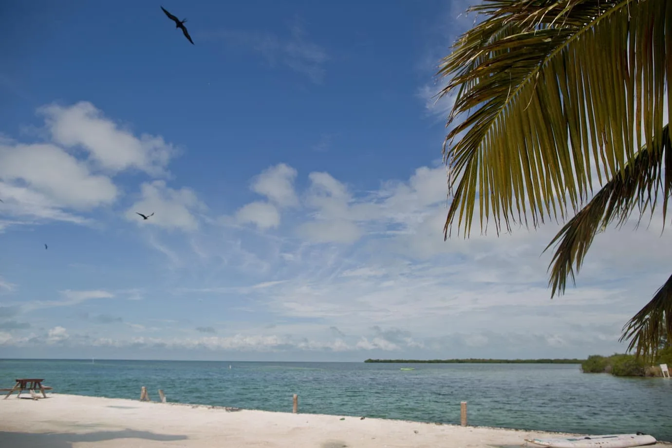 The water is never far away on Caye Caulker