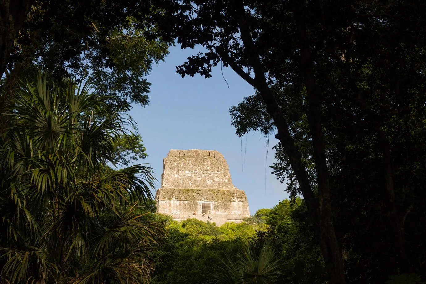 In 1979, Tikal National Park was declared a UNESCO World Heritage site, and walking around it is extremely easy to understand why