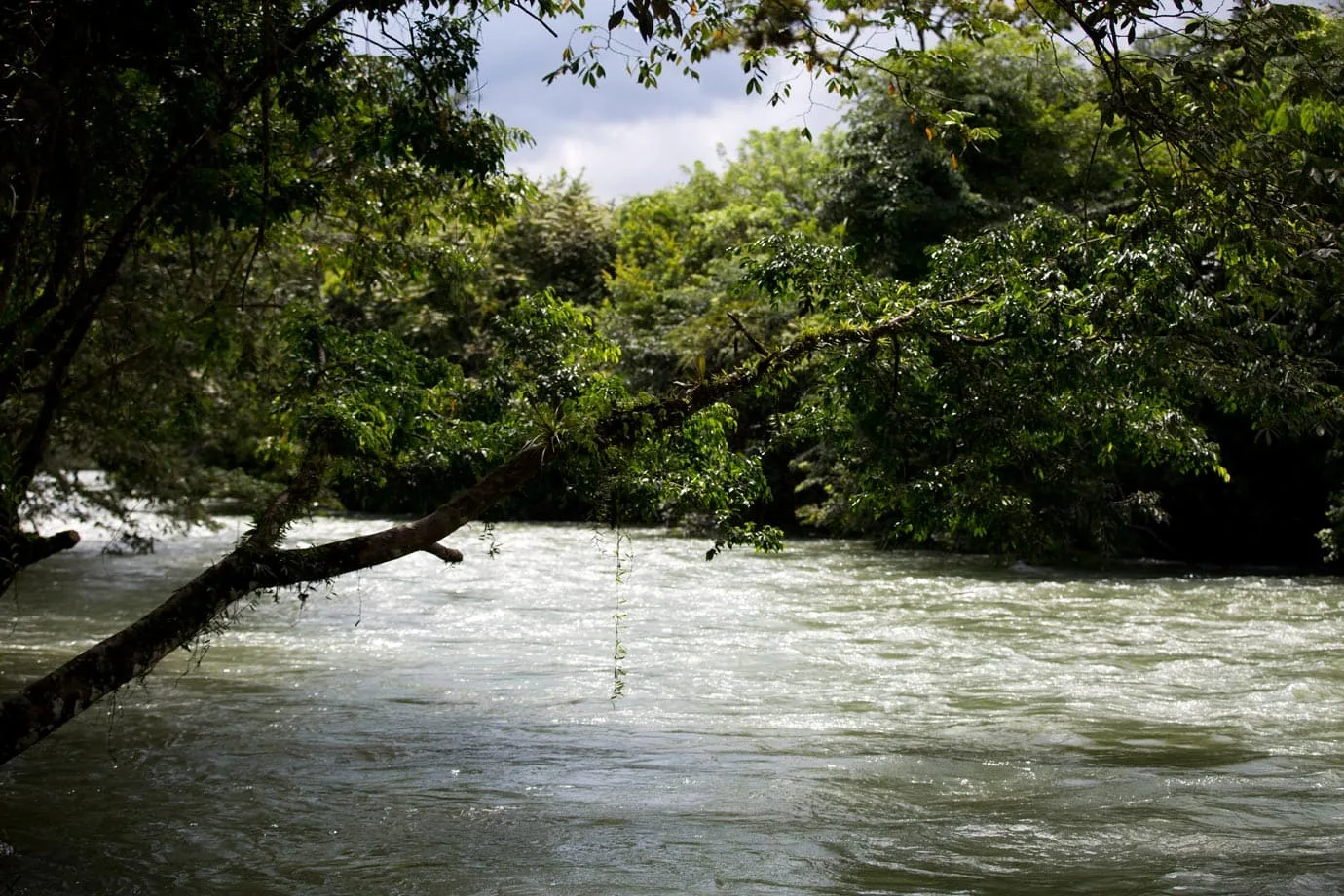 The rushing river in Lanquin