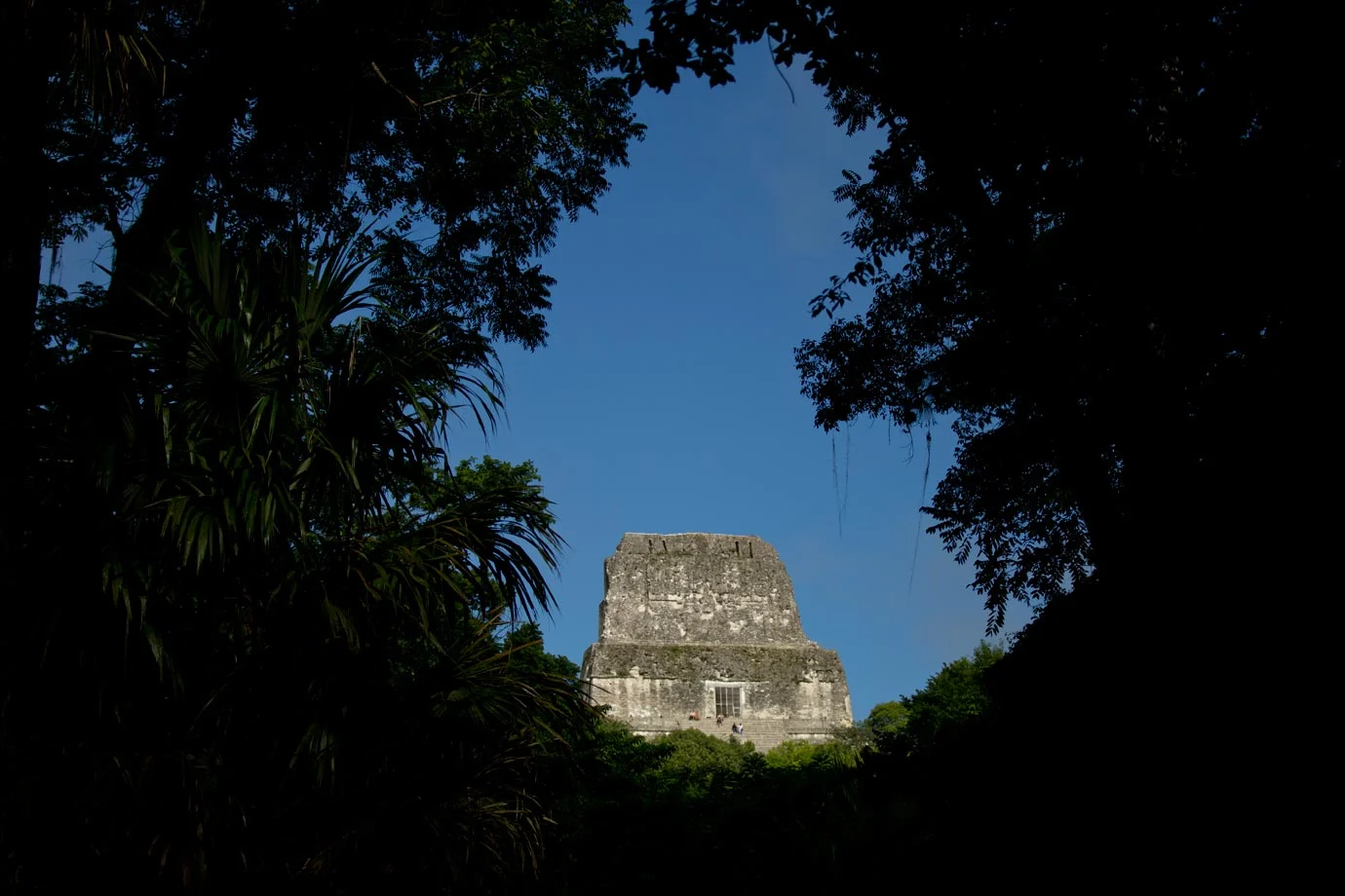 Tikal through the Trees - ©Brian Ceci