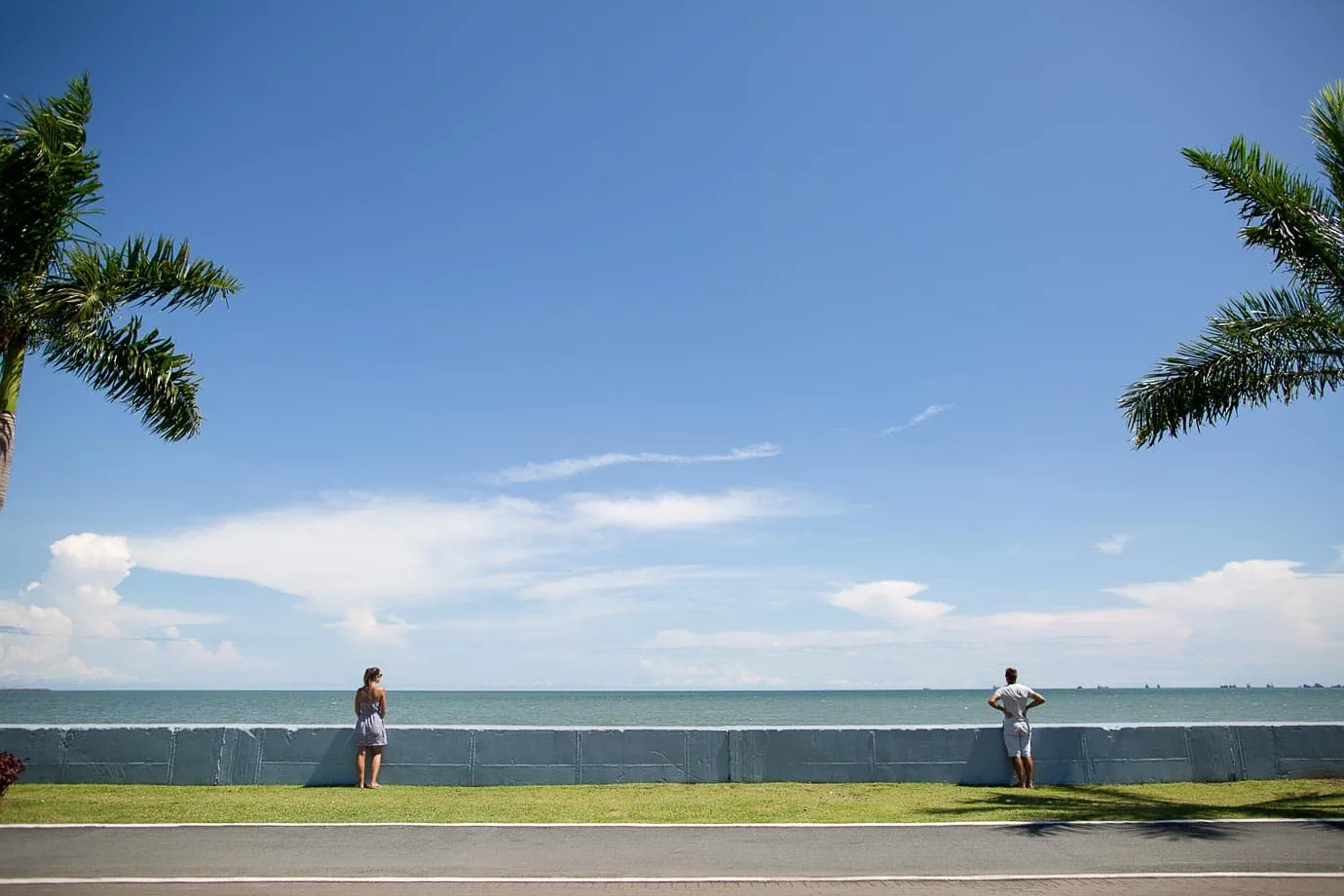 Tree-lined boulevards of Balboa, Panama City