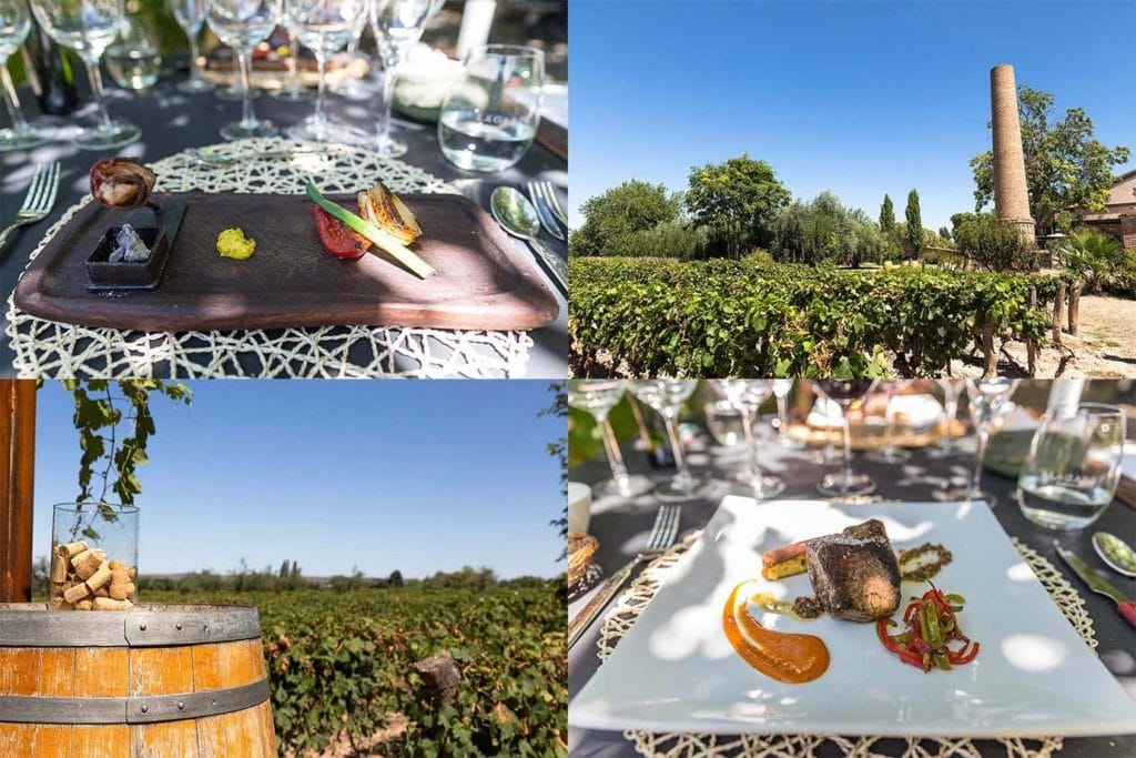 Review: Bodega Lagarde, Mendoza