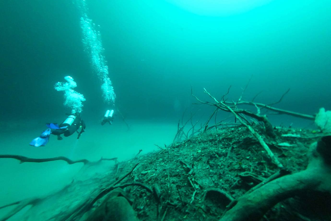 Diving Cenote Angelita