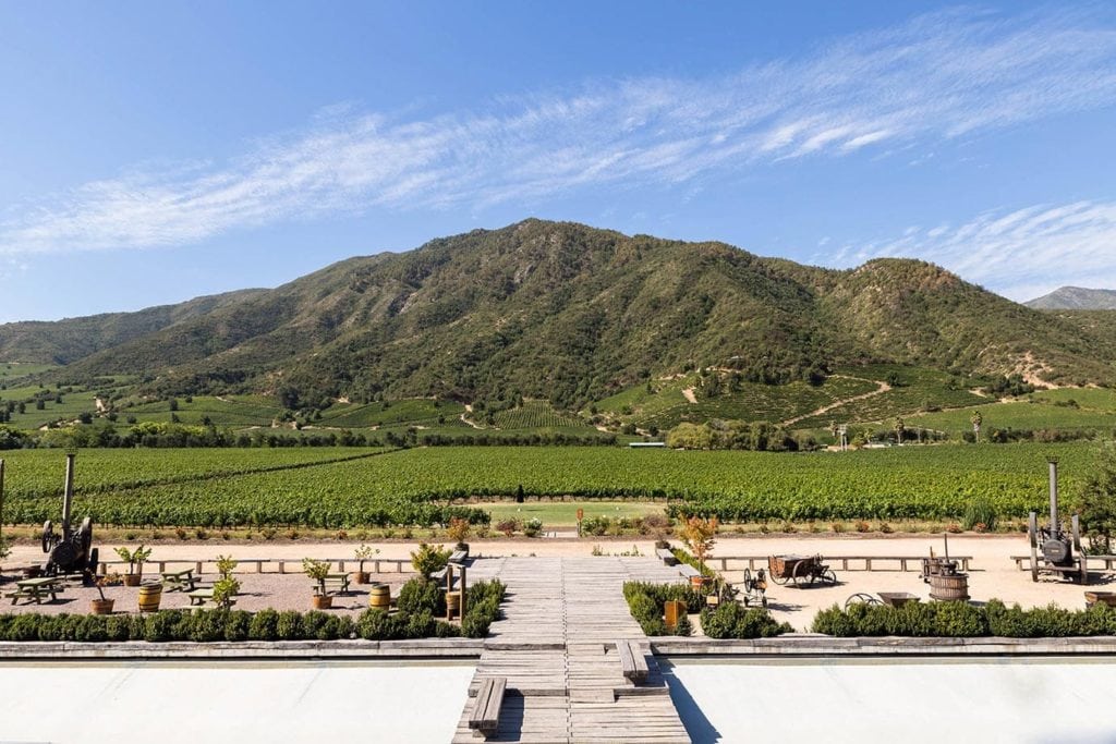 Wine Tasting in the Colchagua Valley, Chile