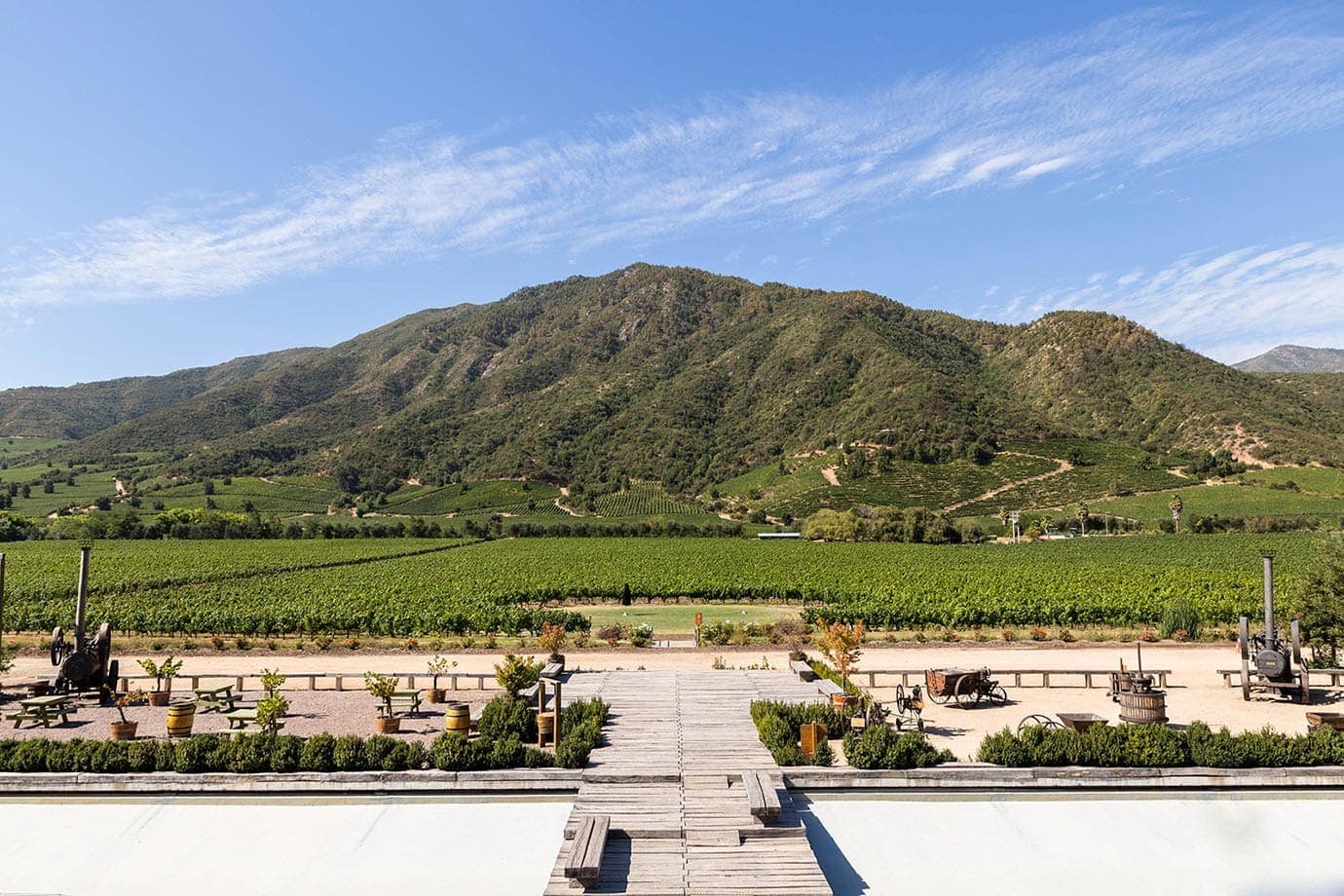 Wine Tasting in the Colchagua Valley, Chile