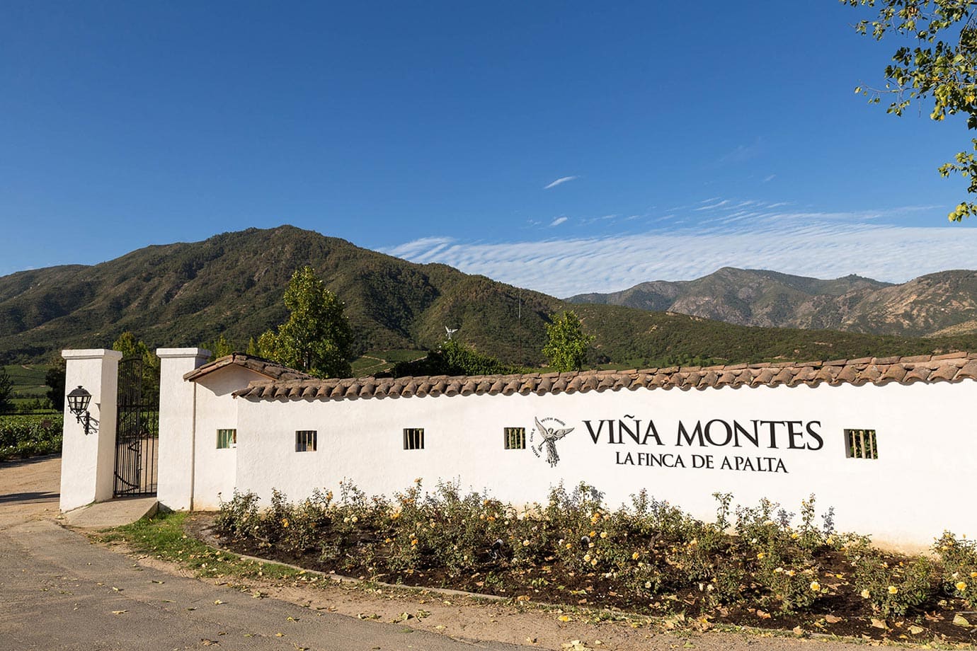 Montes vineyard, Chile