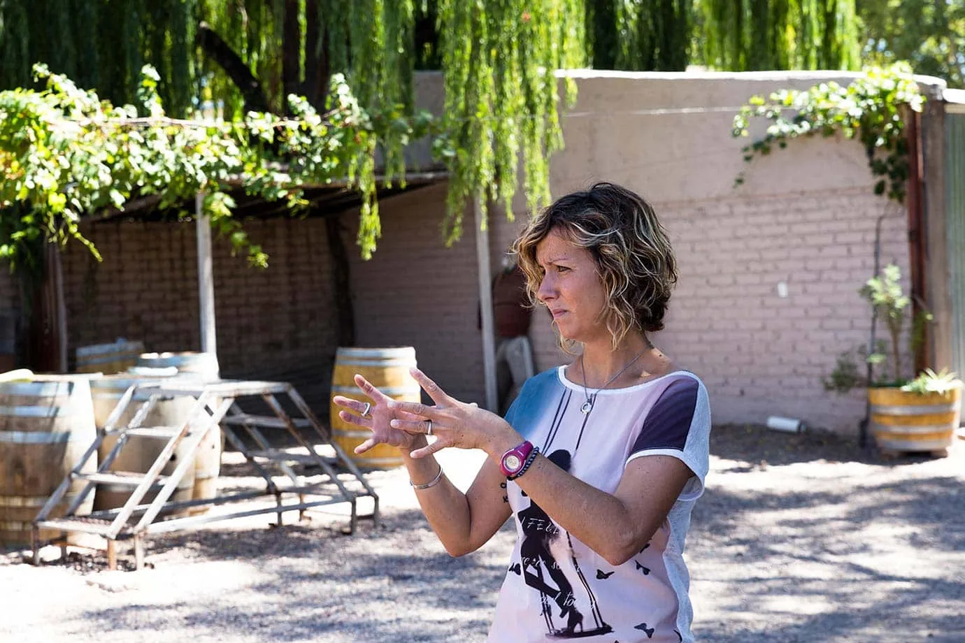 Wine tour at Bodega Lagarde