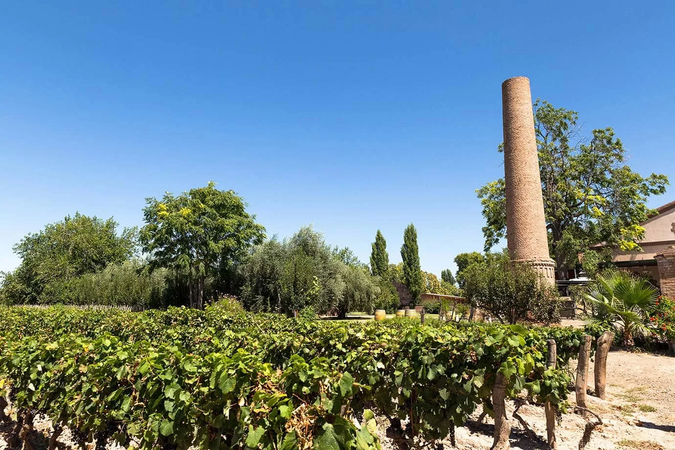 Old chimney at Bodega Lagarde