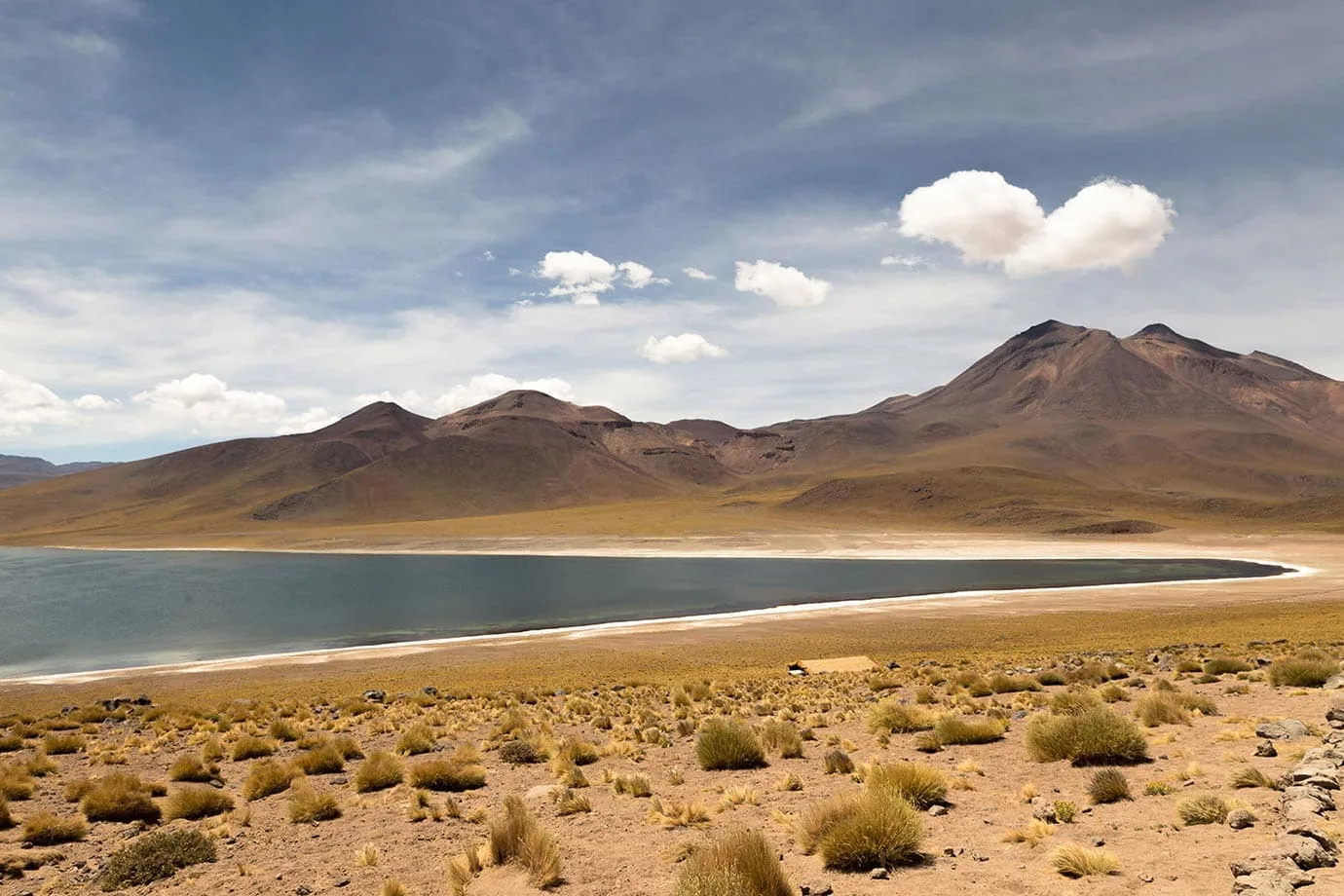View of Miscanti Lagoon, Chile