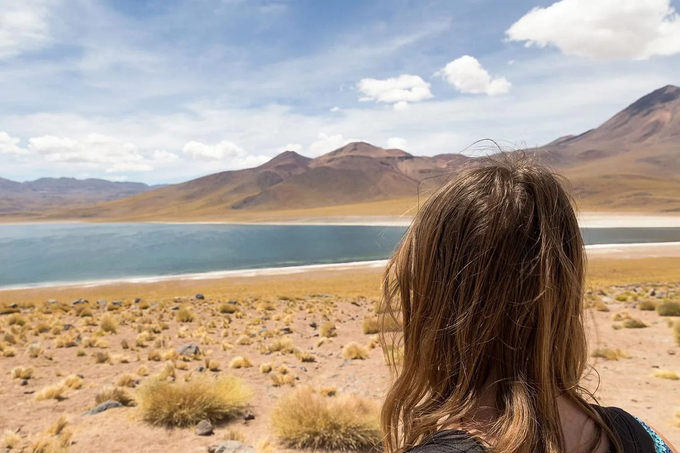Looking at Miscanti Lagoon, Chile
