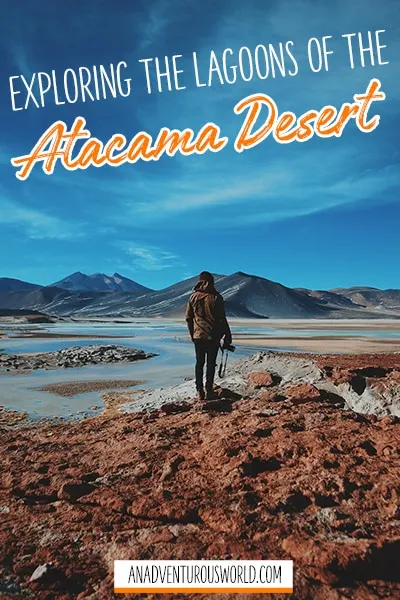 Atacama Desert Tours