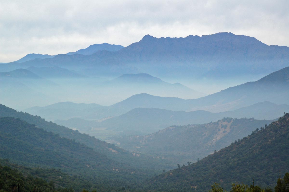 la campana national park chile