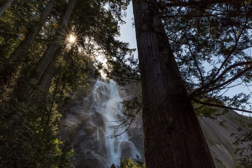 Visiting Shannon Falls