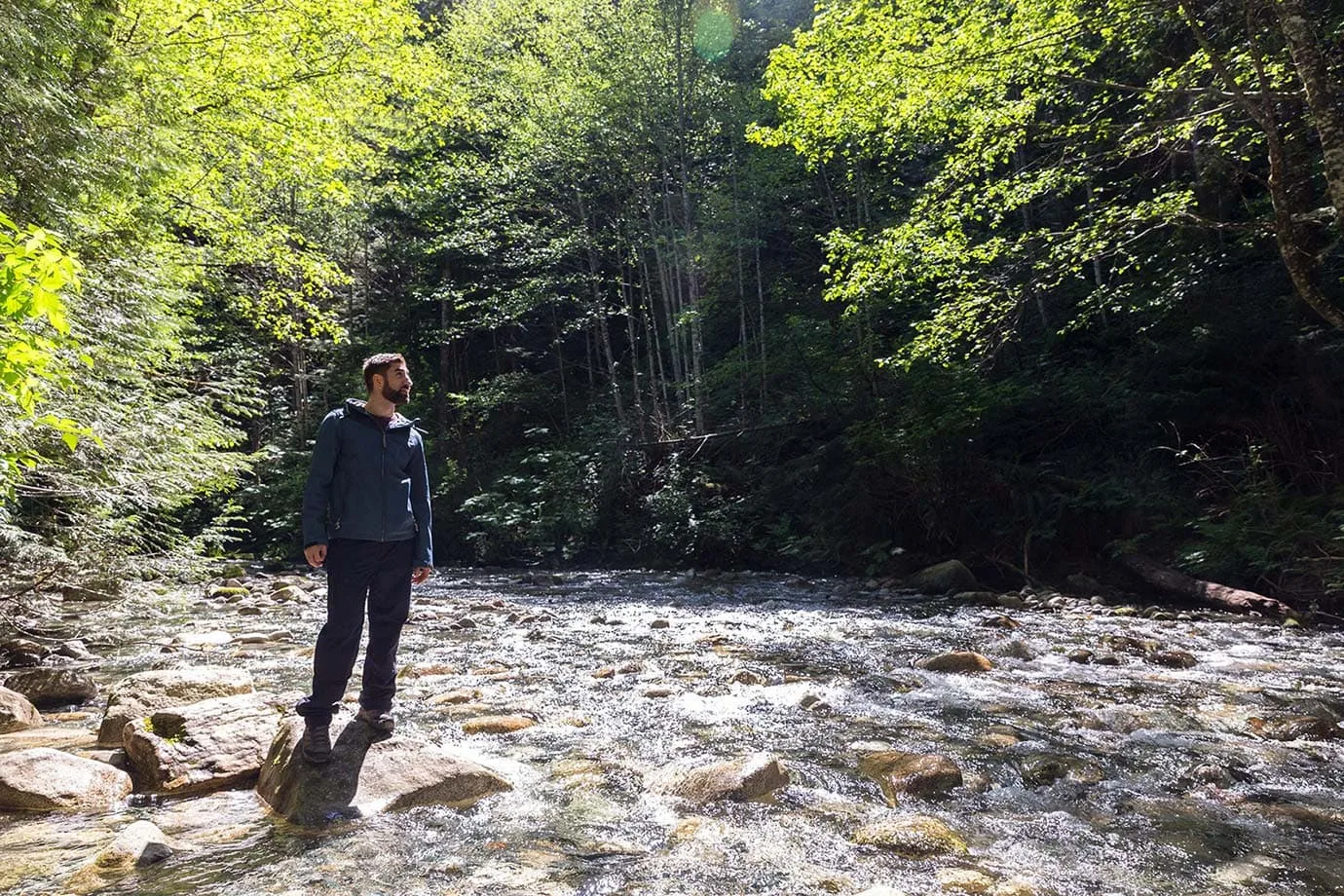 The river at Shannon Falls