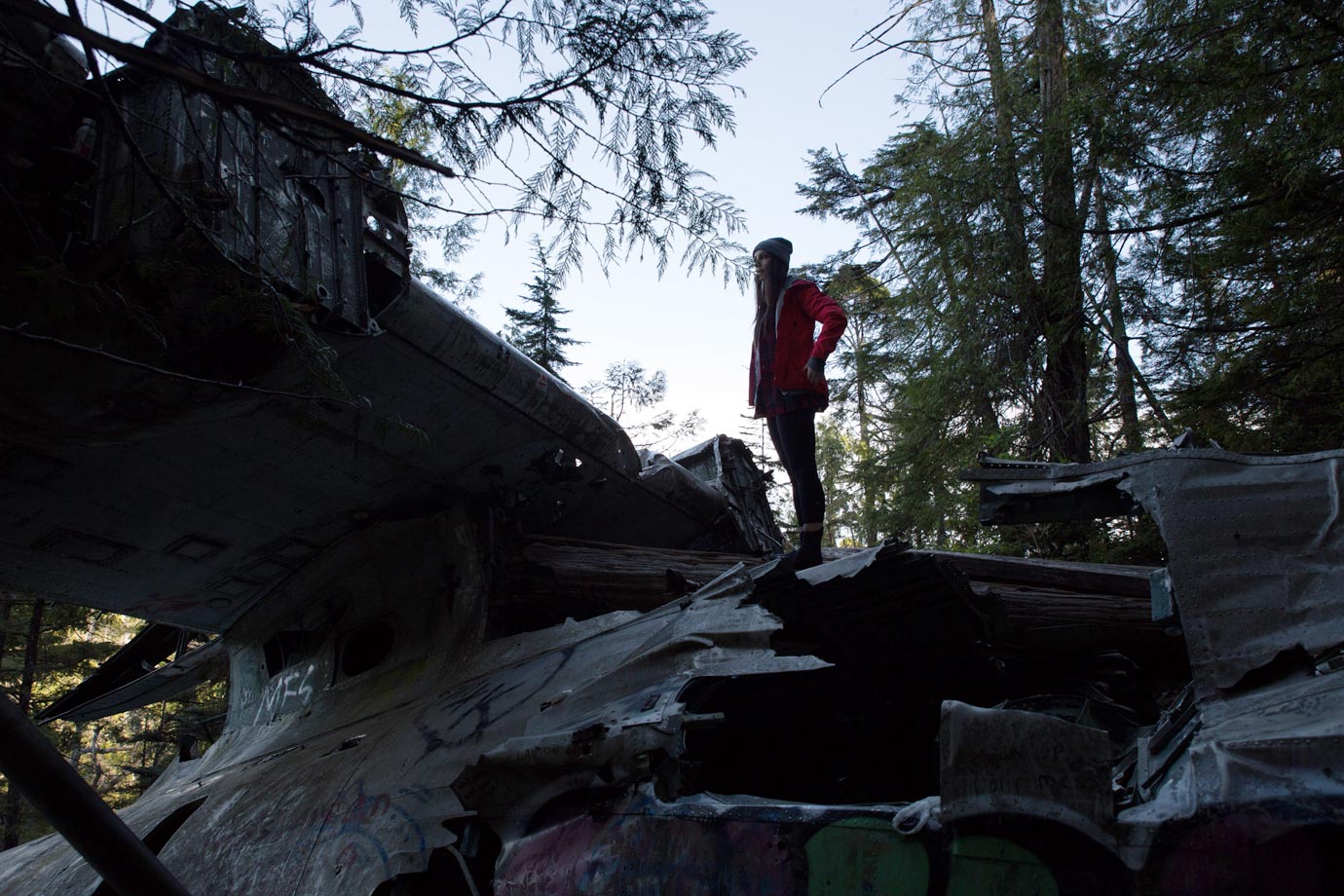 Tofino's Airplane Crash Hike