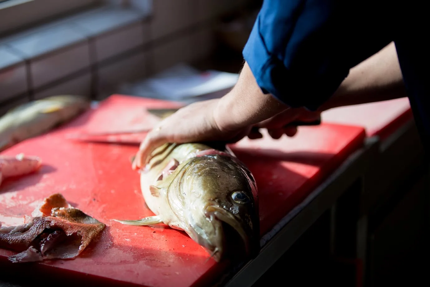 greenland cuisine