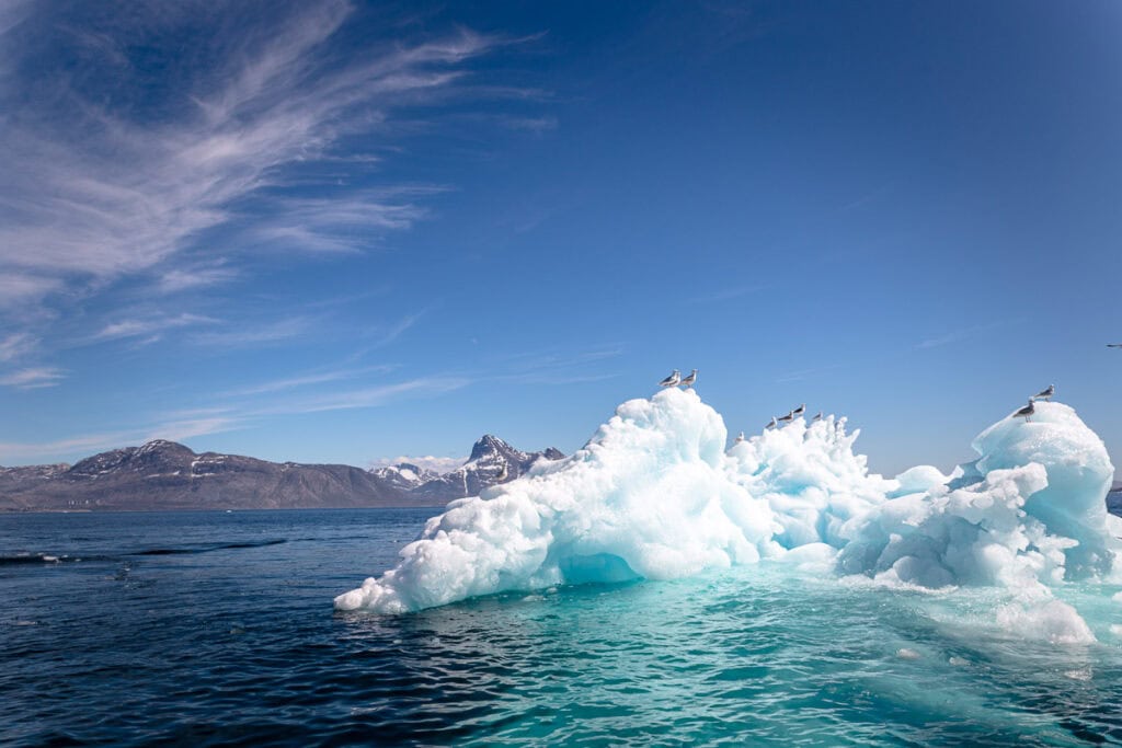 icebergs in nuuk