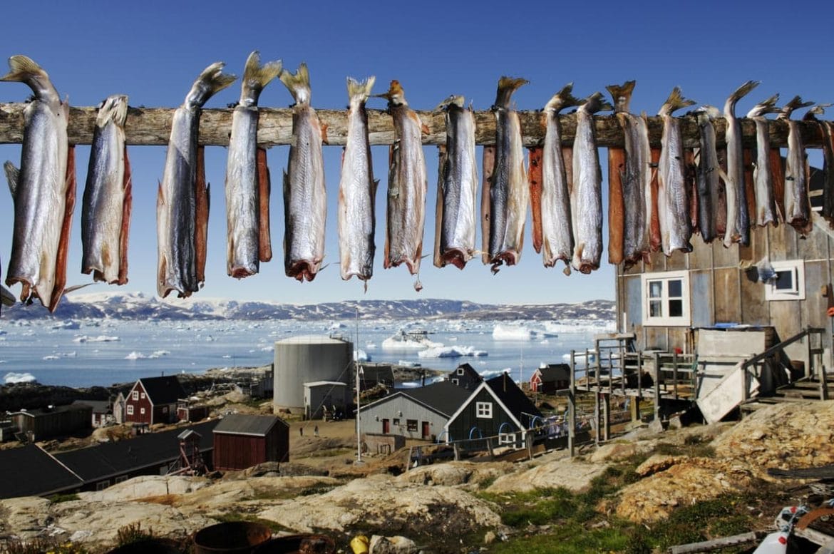 Food in Greenland What do people eat in Greenland? (2024 Guide)