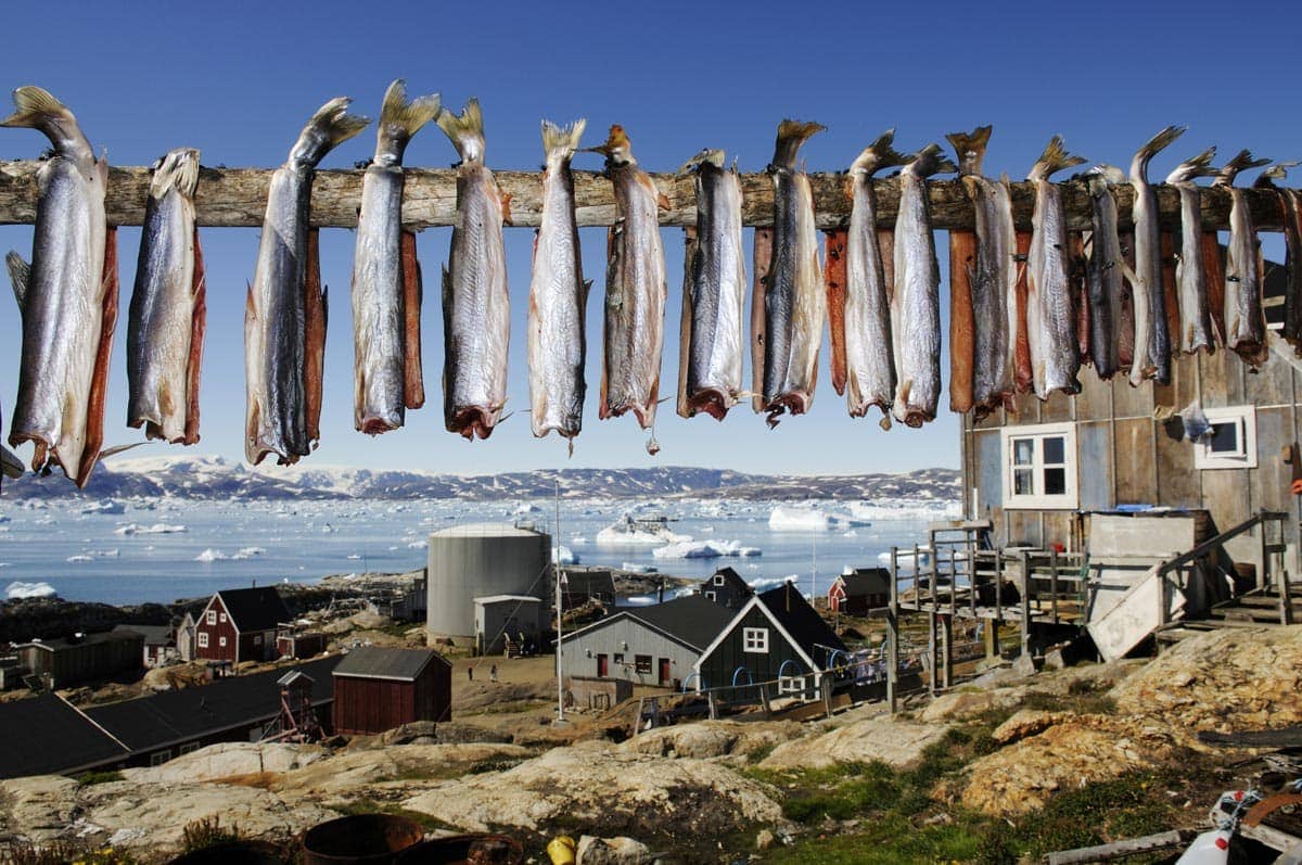 food in greenland