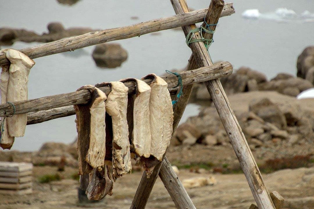 greenland diet