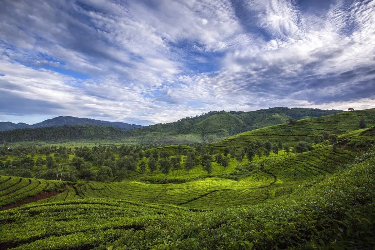 Things to do in Bandung Things to do in Bandung