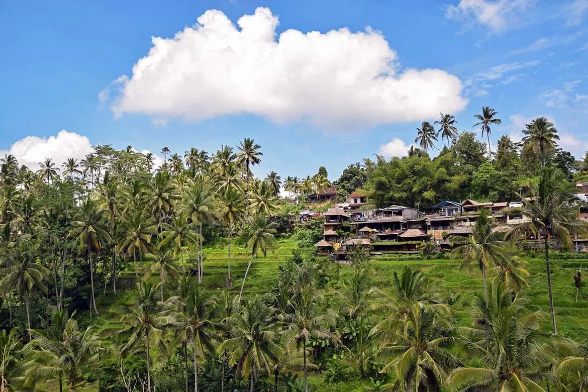 ubud to mt batur