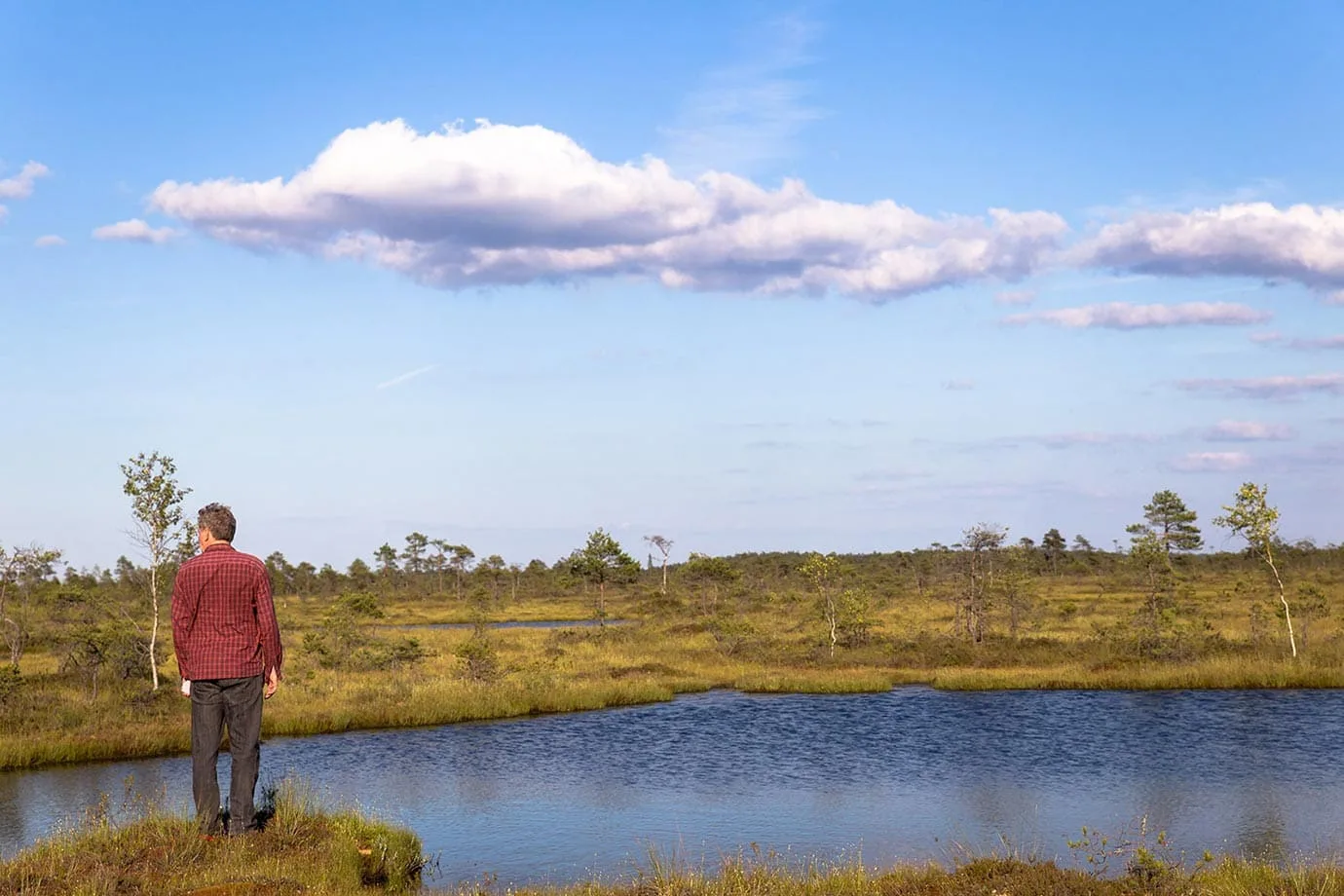 Soomaa National Park, Estonia