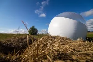 Hay bales in Estonia
