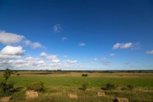 Fields in Estonia