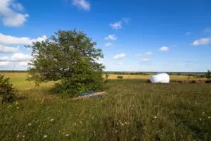 View of the Bubble Hotel