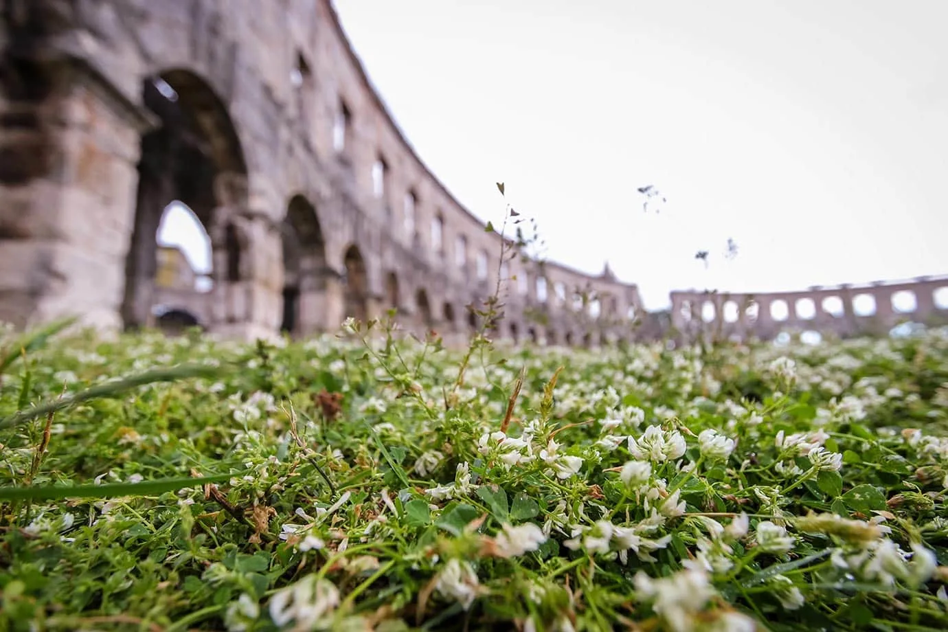 Pula Colosseum