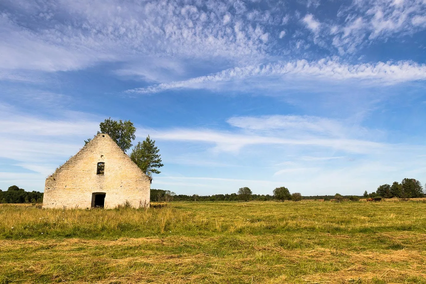 Abandoned farm house in Estonia