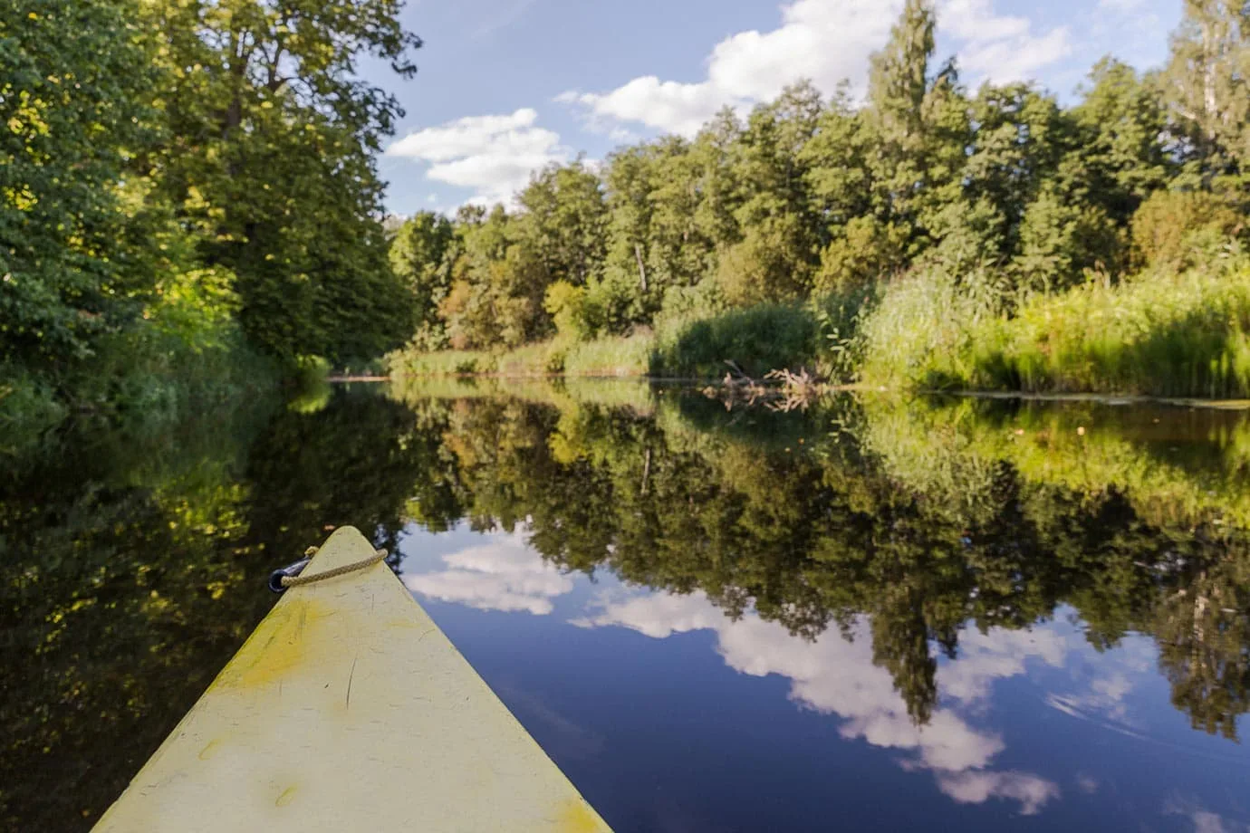 Kayaking Soomaa National Park, Estonia