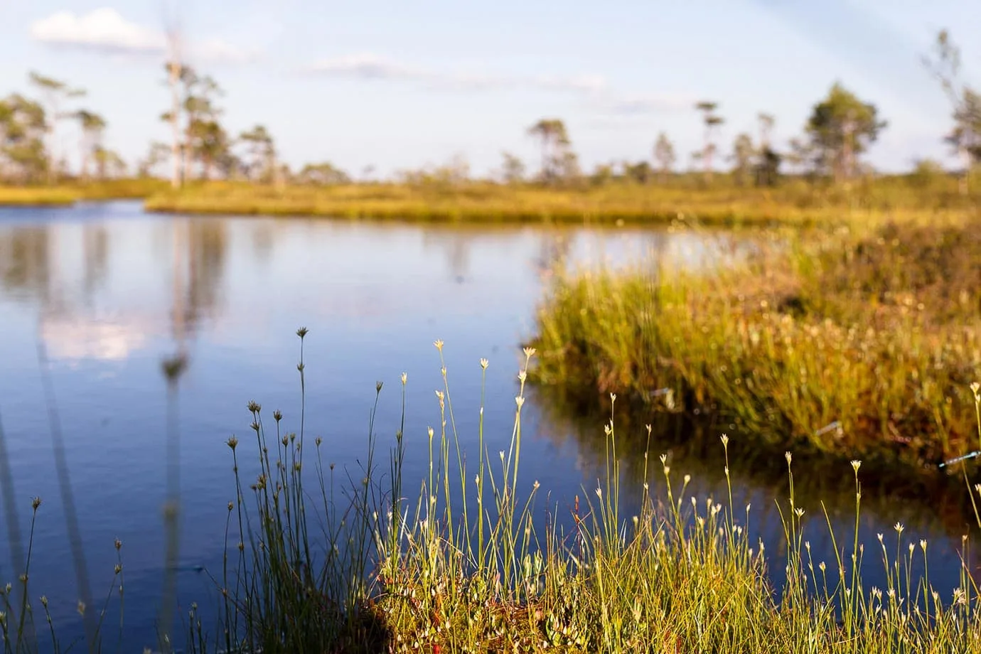 Landscape in Estonia