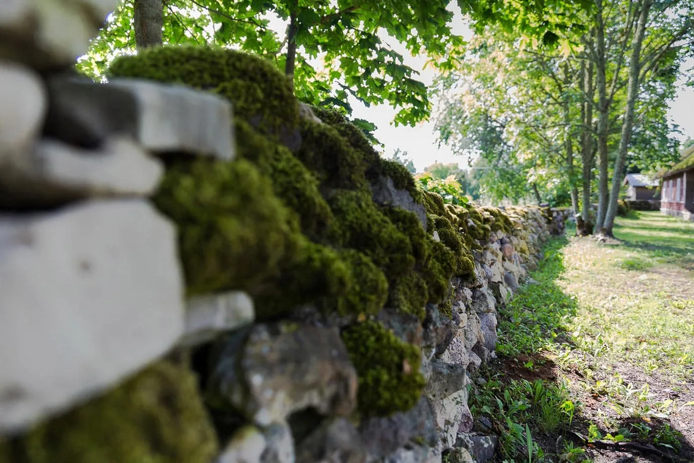 Ancient wall in Estonia