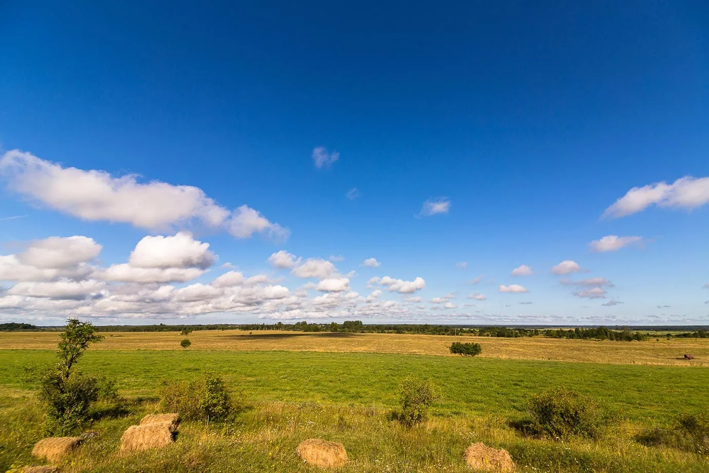 Countryside in Estonia