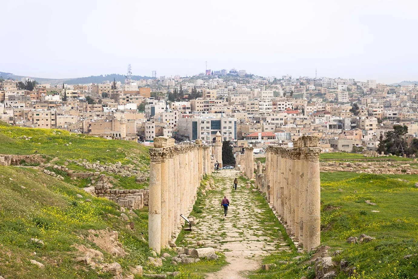 The columns of Jerash, Jordan