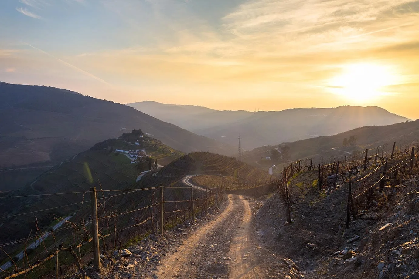 Quinta do Crasto vineyard