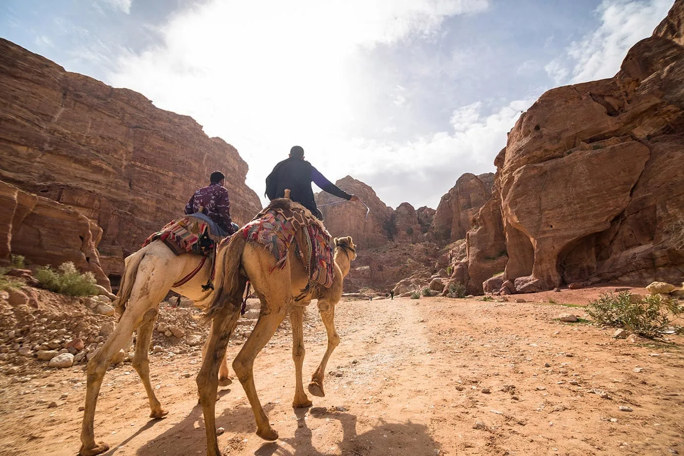 Camels at Petra