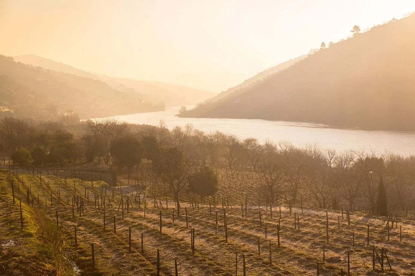 The Douro Valley, Portugal