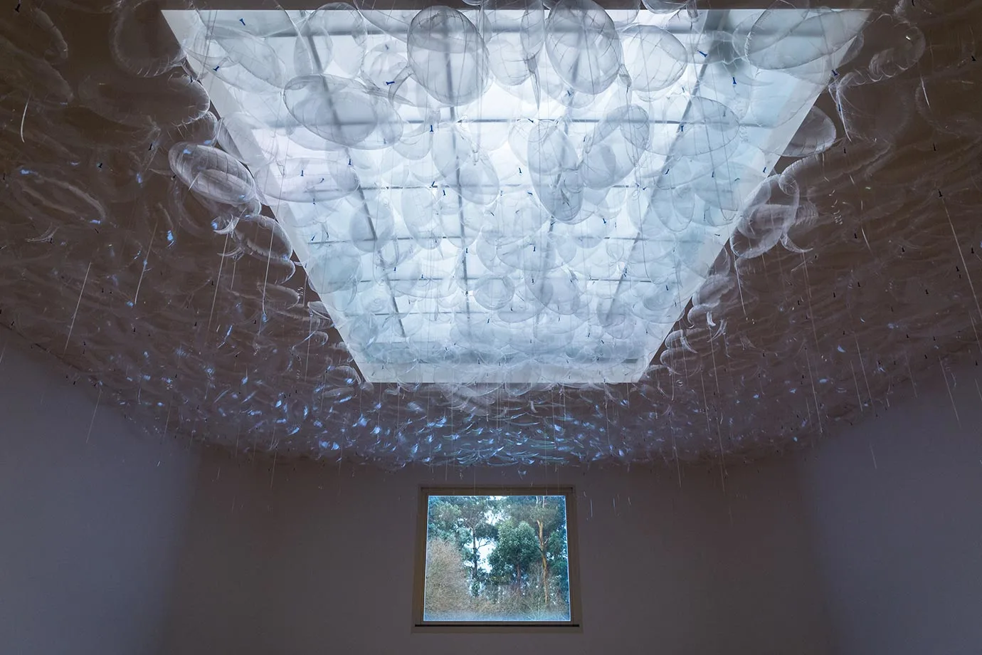 Exhibition at Serralves Museum, Porto