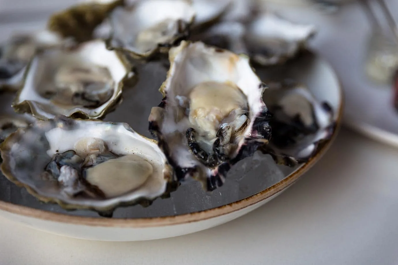 Fresh oysters at the Fairmont Waterfront