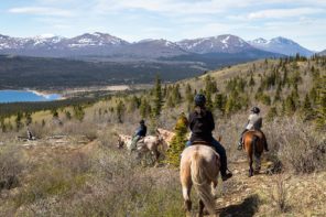 whitehorse