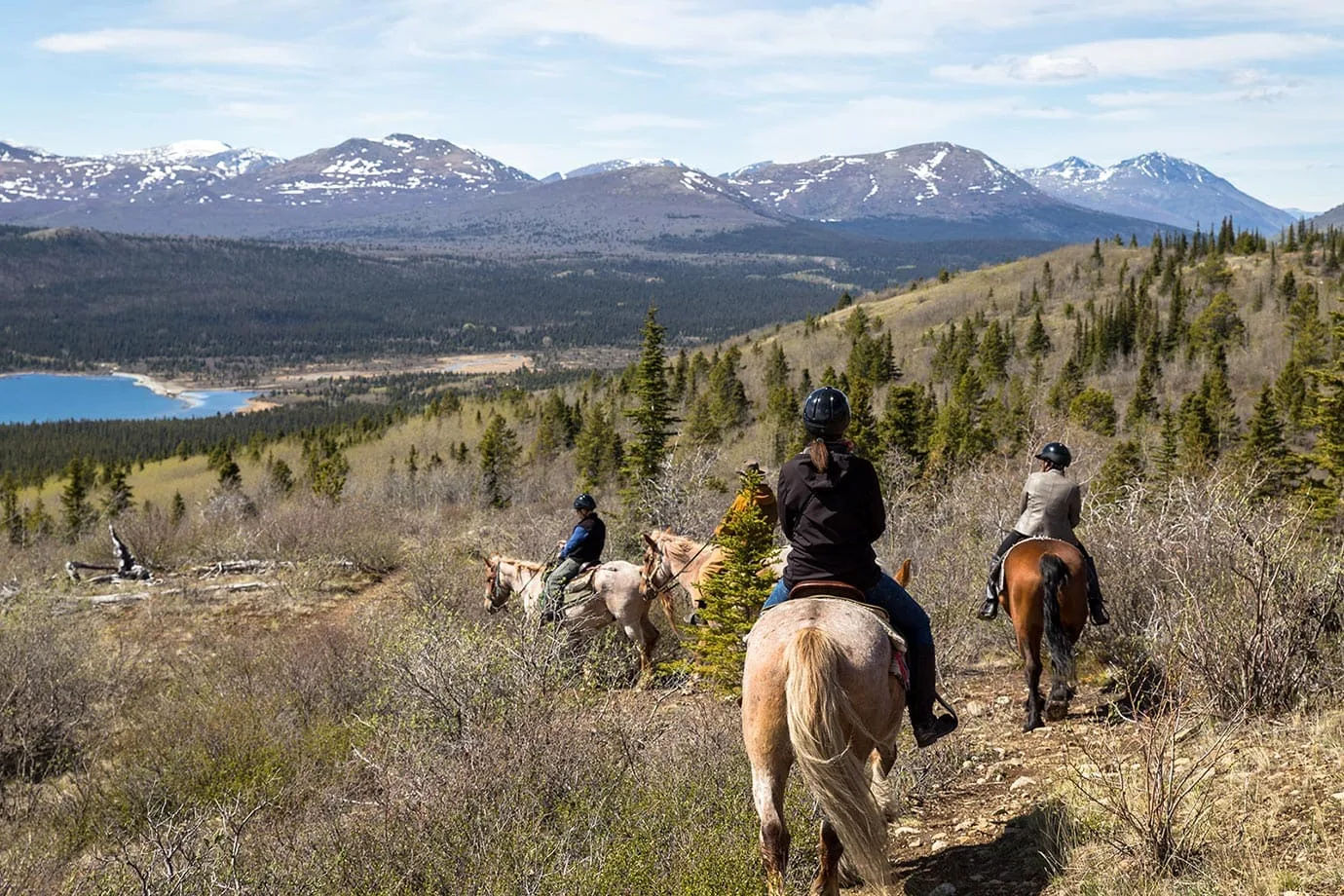 Horse riding in Canada